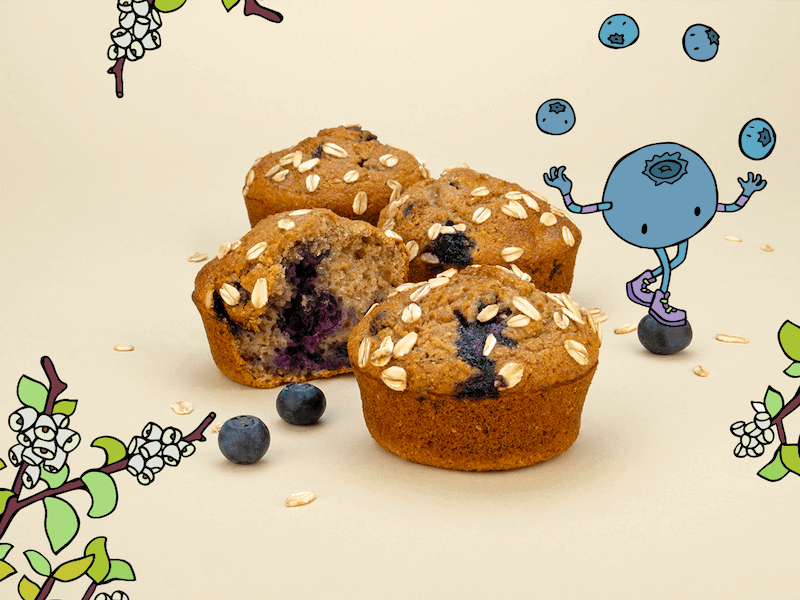 Blueberry Muffins Recipe [Step by Step Guide] – Jimmy Joy