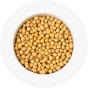 Soy protein