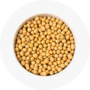Soy protein