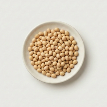 Soja-Protein