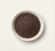 Rapeseed Oil