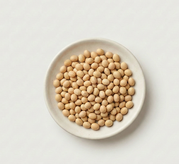 Soy protein